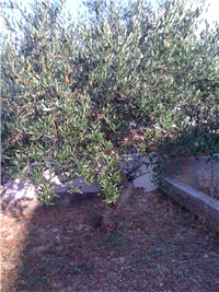 96b7d4ae-Picture 039.jpg